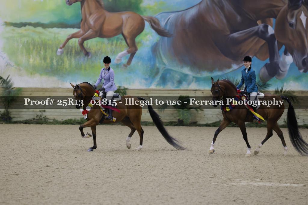 Proof 25R13_04815