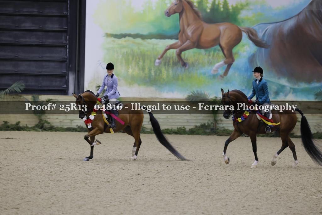 Proof 25R13_04816