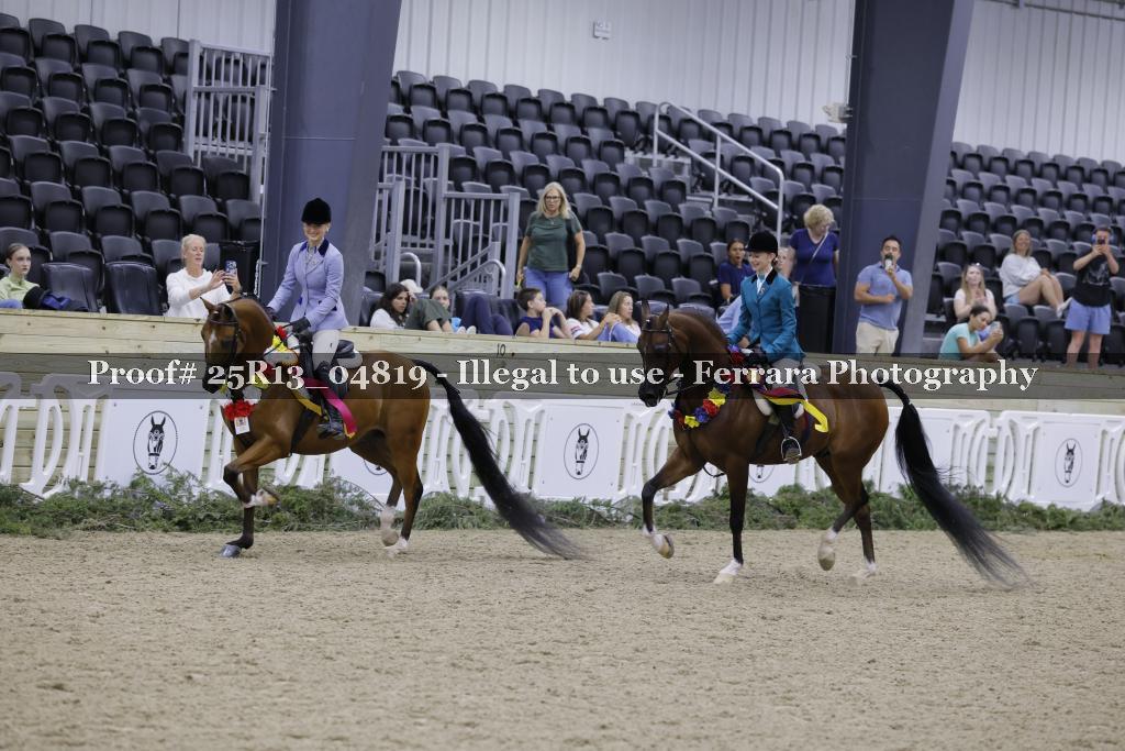 Proof 25R13_04819
