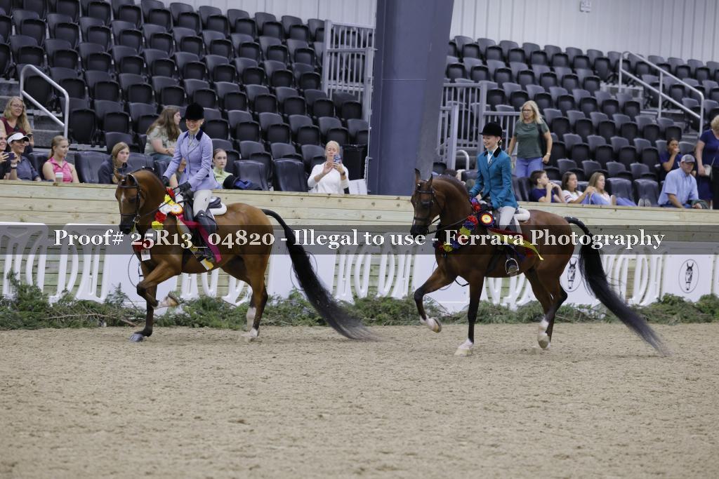 Proof 25R13_04820