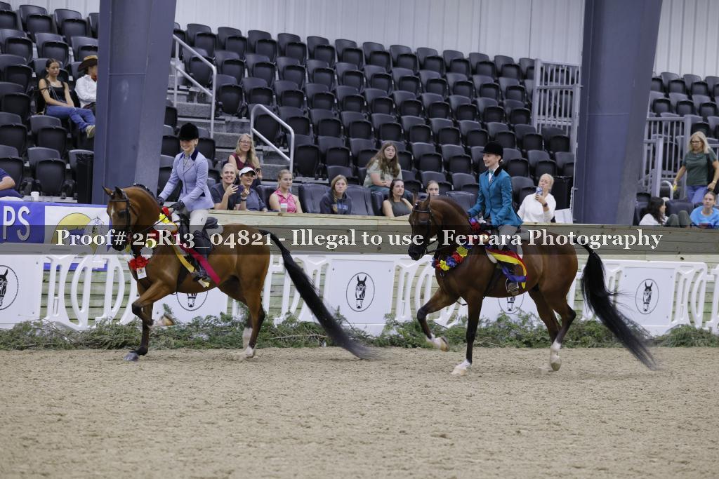 Proof 25R13_04821