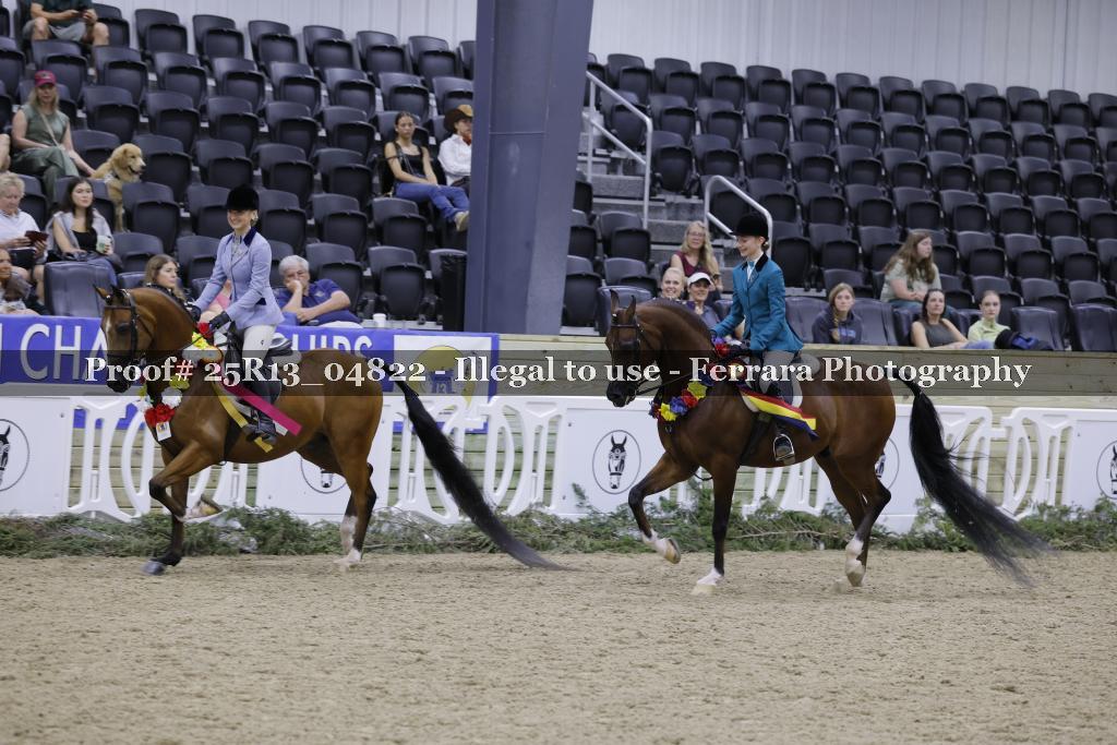 Proof 25R13_04822
