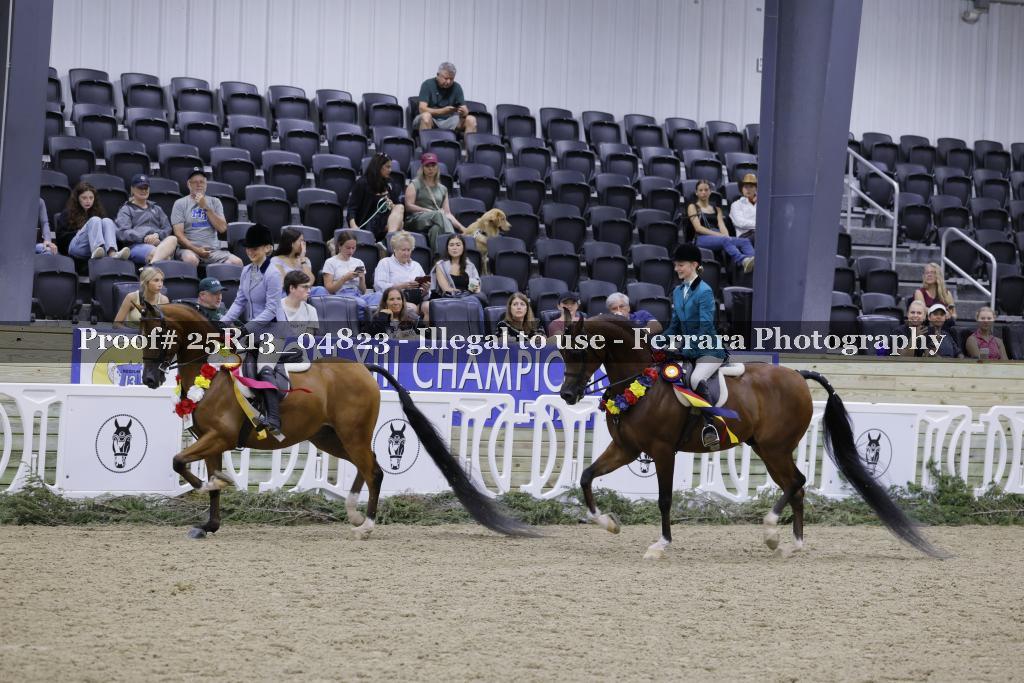 Proof 25R13_04823