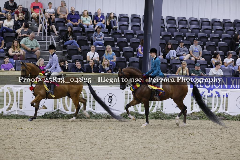 Proof 25R13_04825