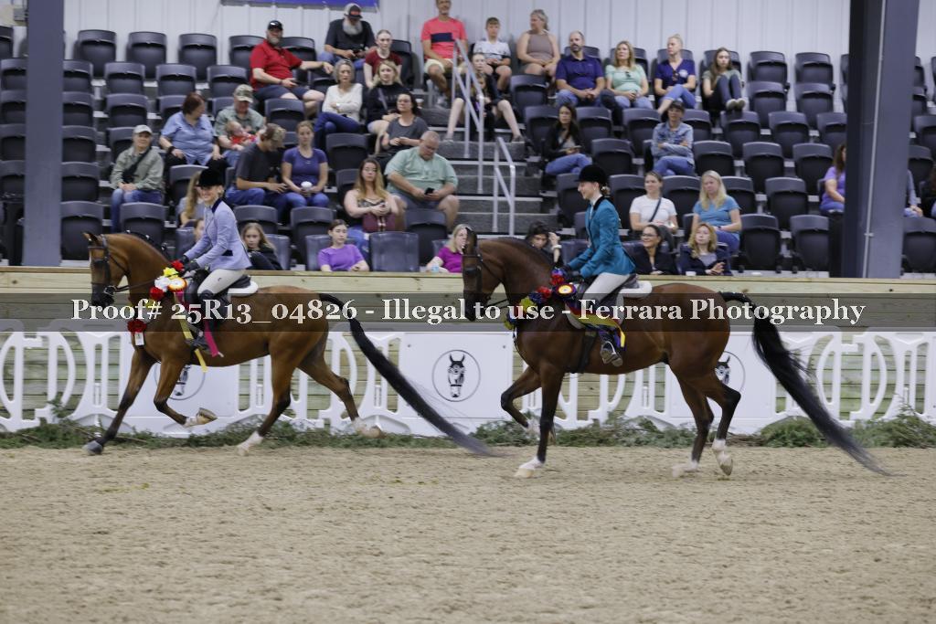 Proof 25R13_04826