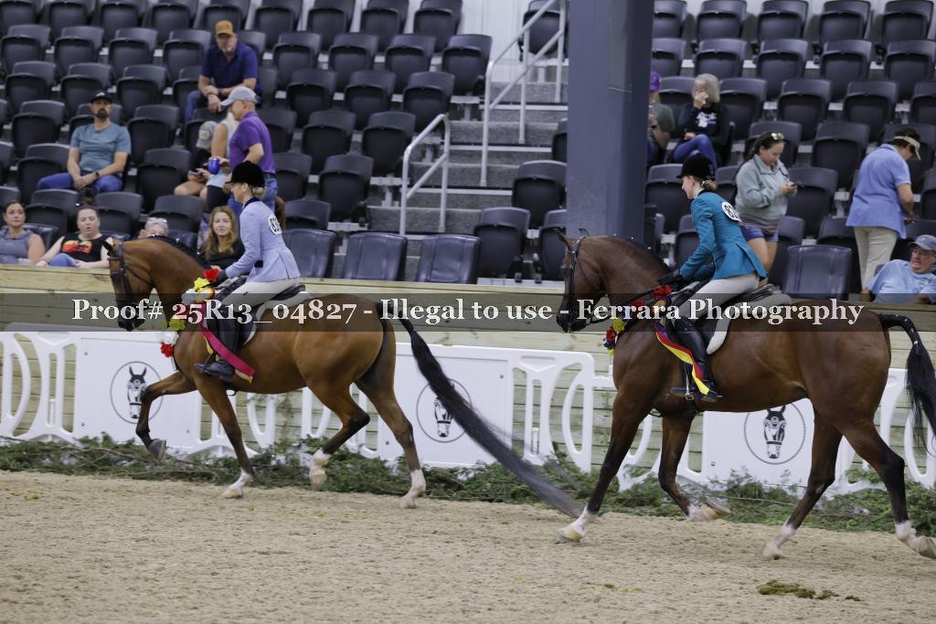 Proof 25R13_04827