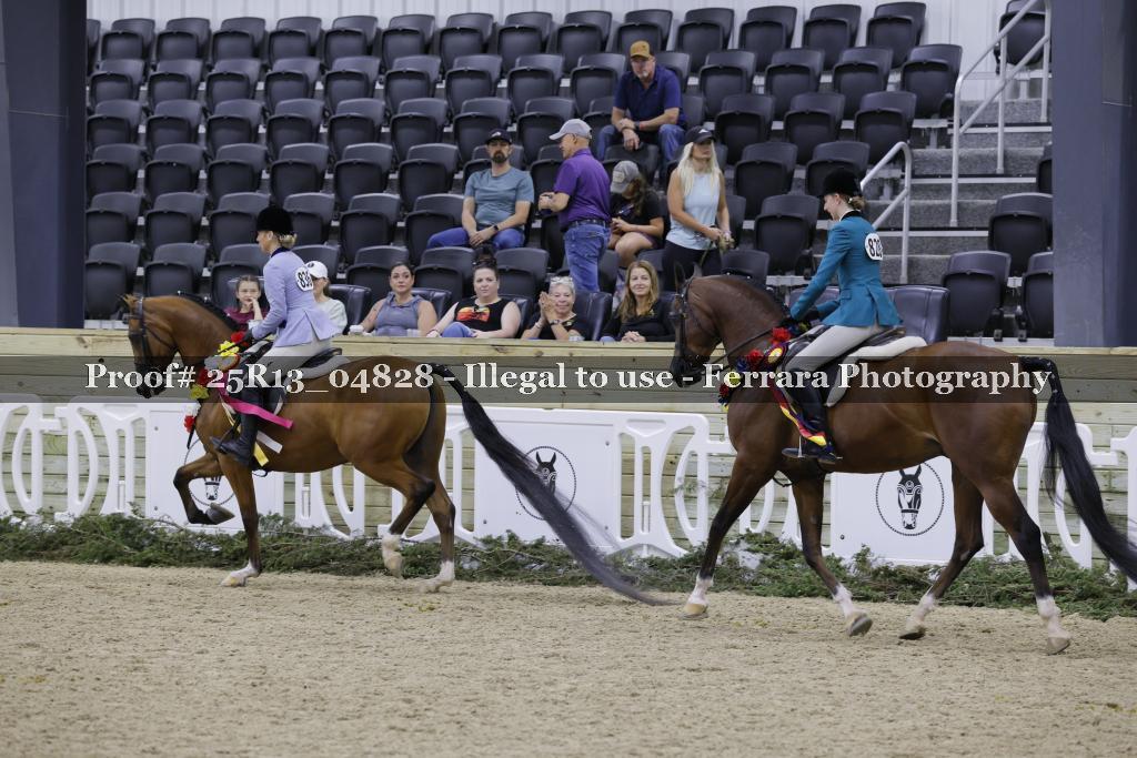 Proof 25R13_04828