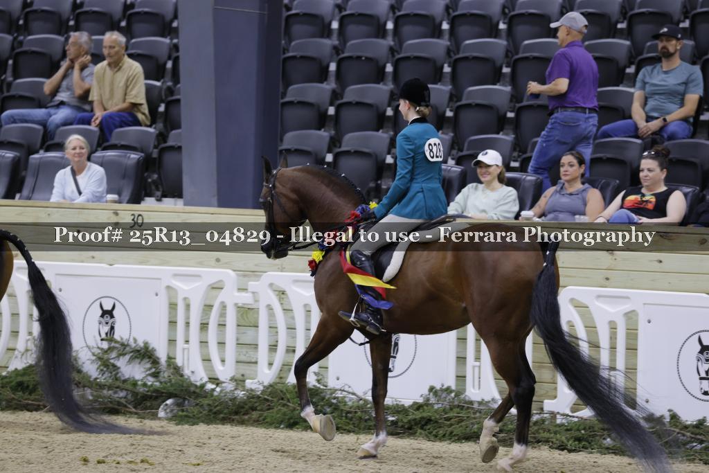 Proof 25R13_04829