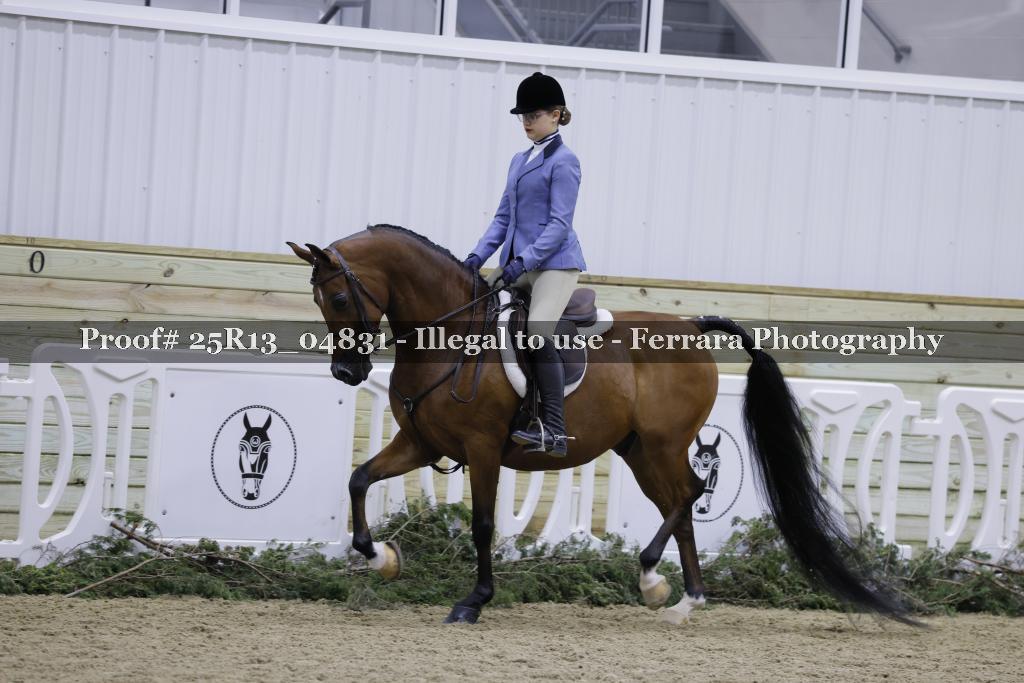 Proof 25R13_04831