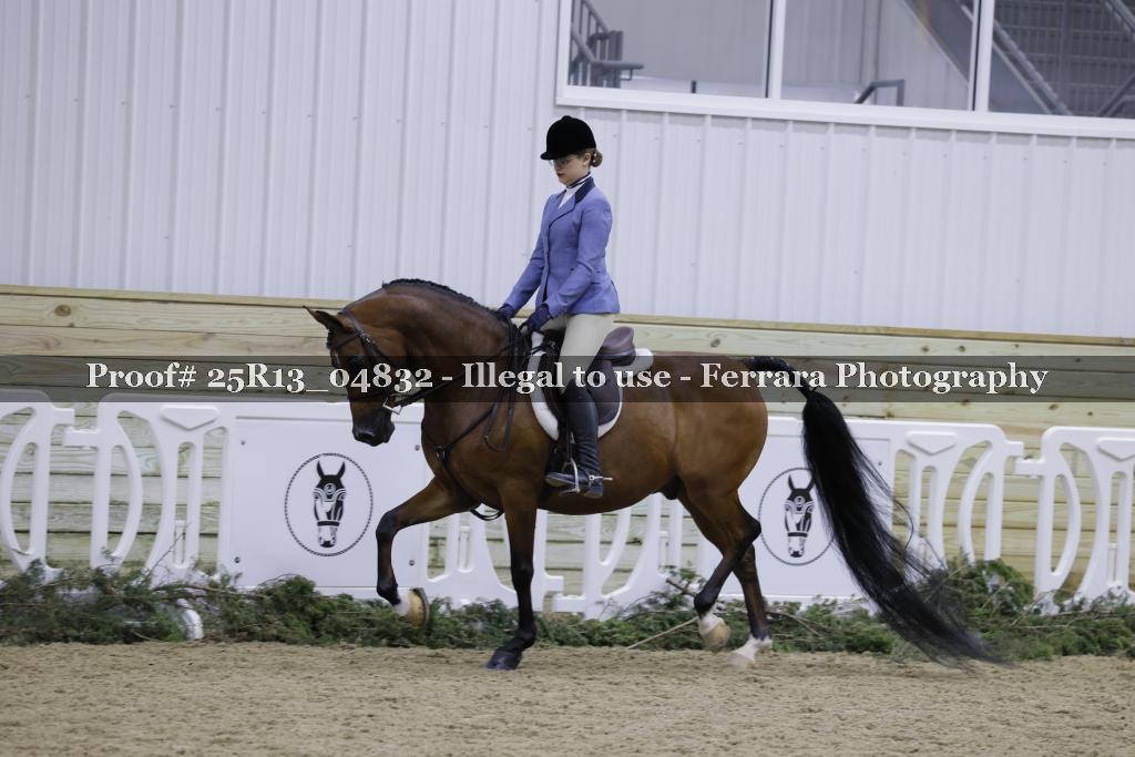 Proof 25R13_04832