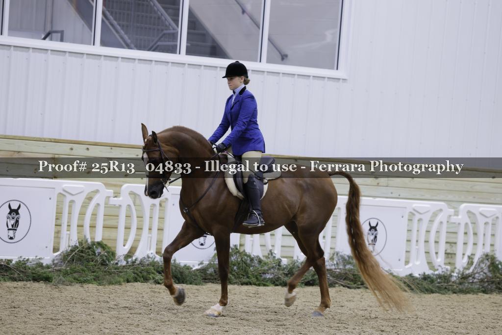 Proof 25R13_04833