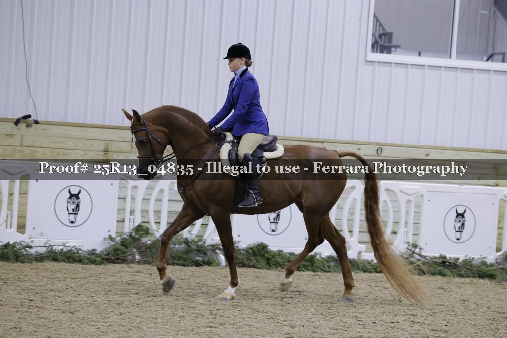 Proof 25R13_04835