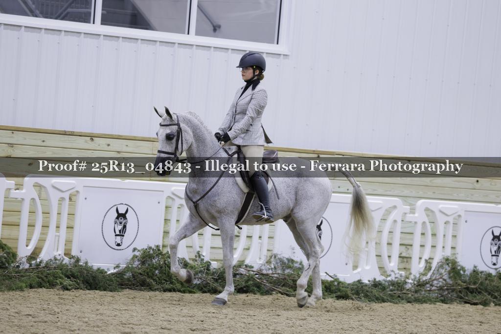 Proof 25R13_04843