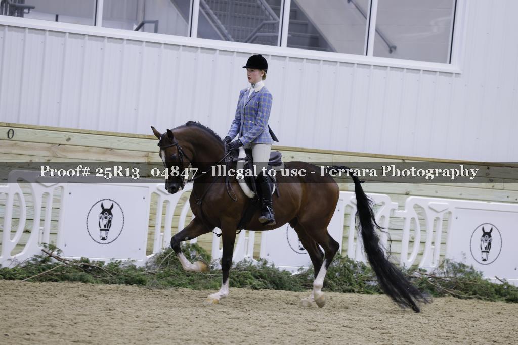 Proof 25R13_04847