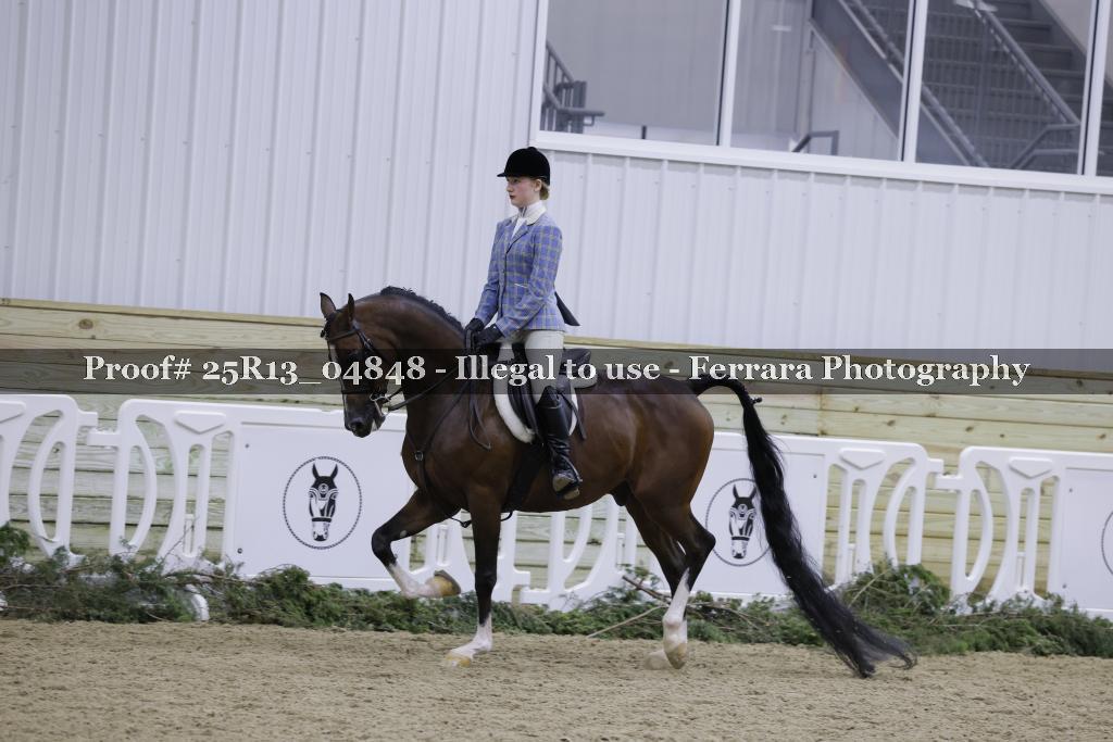 Proof 25R13_04848
