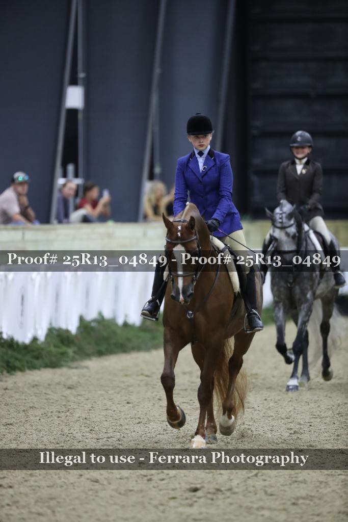 Proof 25R13_04849