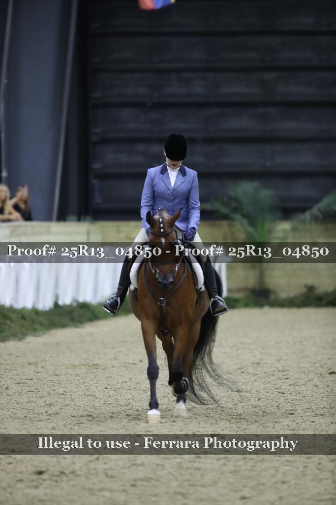 Proof 25R13_04850