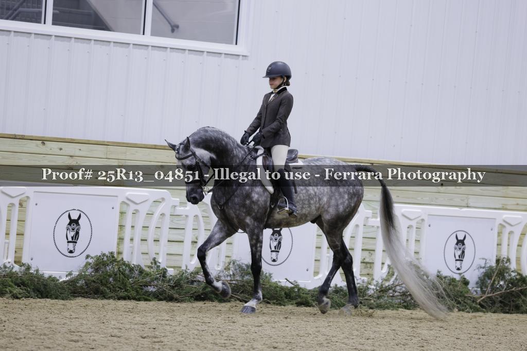 Proof 25R13_04851