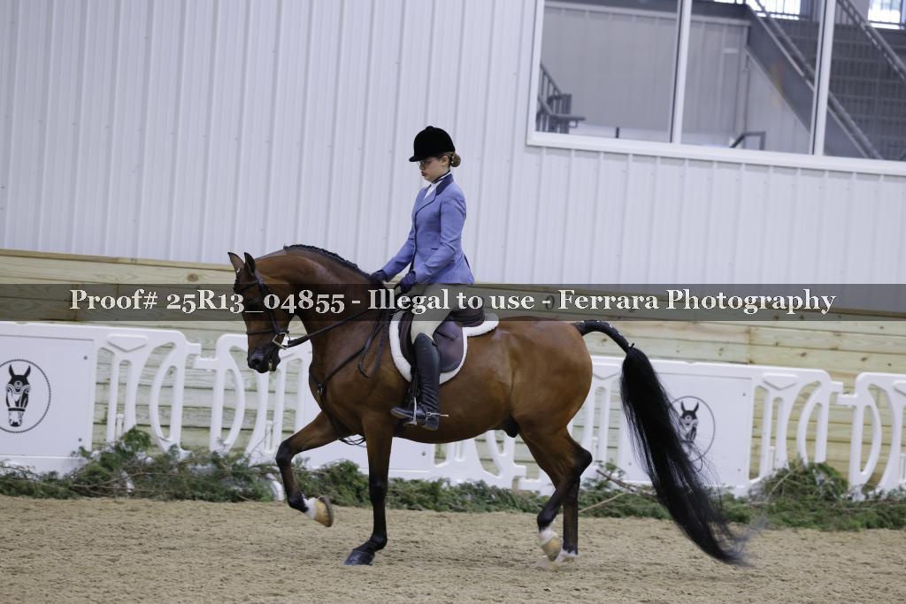 Proof 25R13_04855
