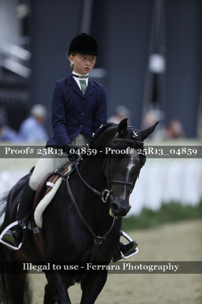 Proof 25R13_04859