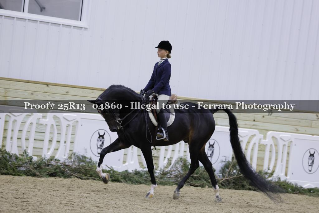 Proof 25R13_04860