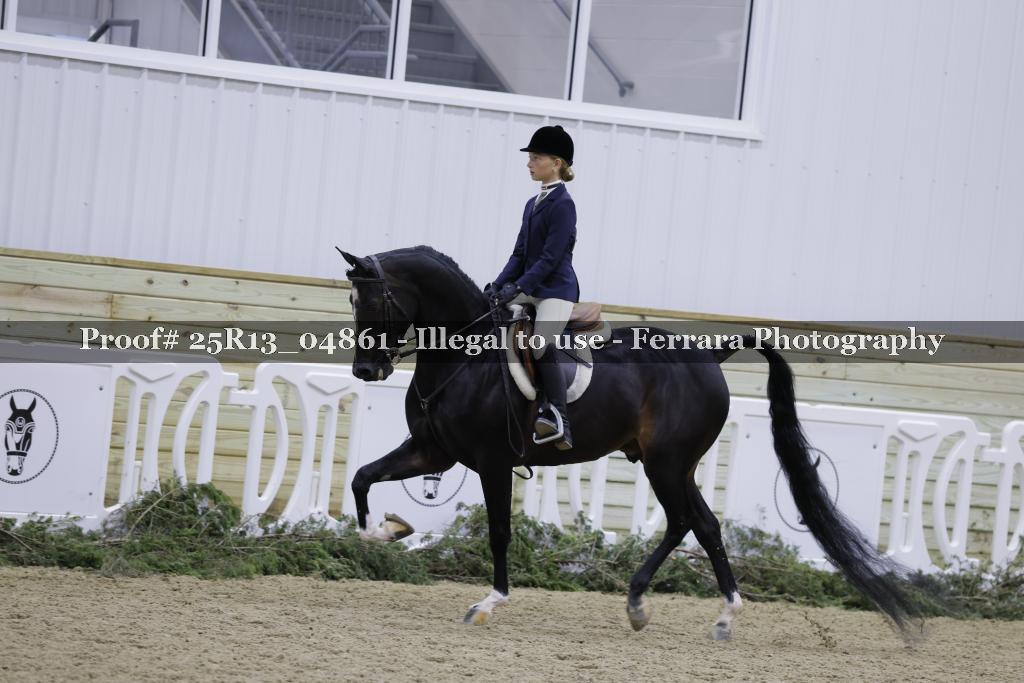 Proof 25R13_04861