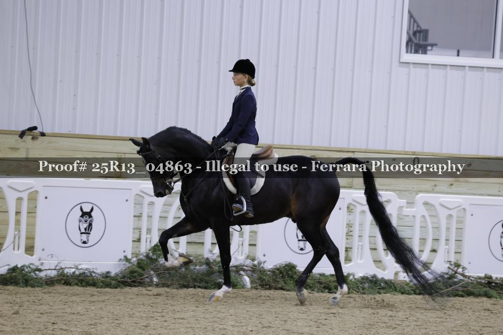 Proof 25R13_04863