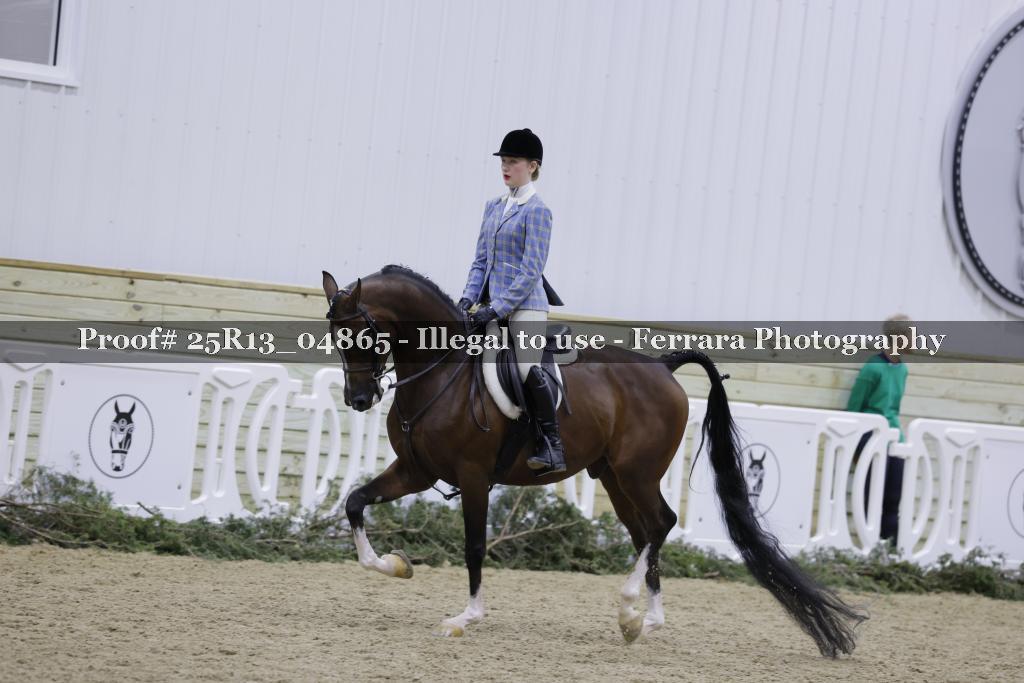 Proof 25R13_04865