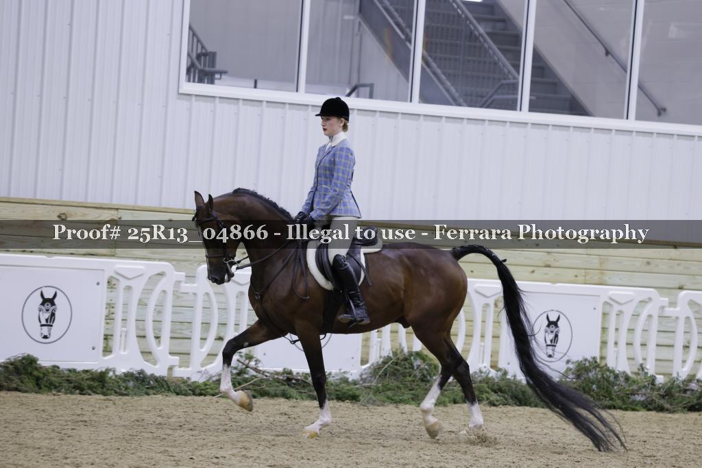 Proof 25R13_04866
