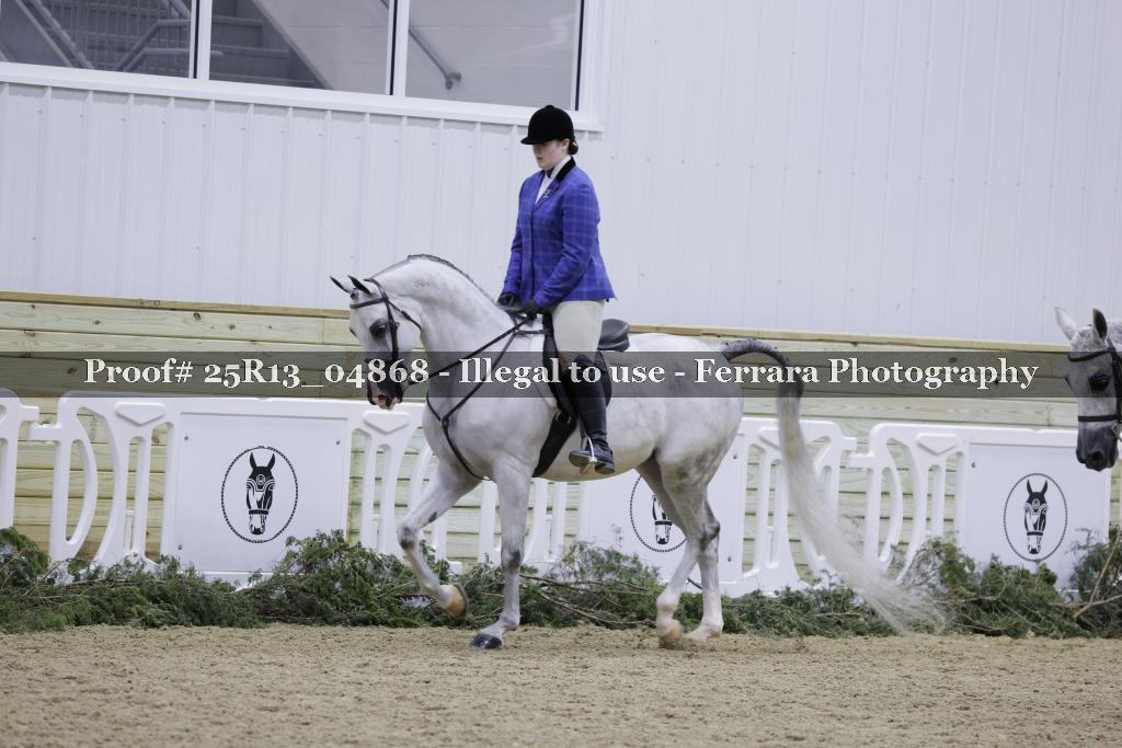 Proof 25R13_04868