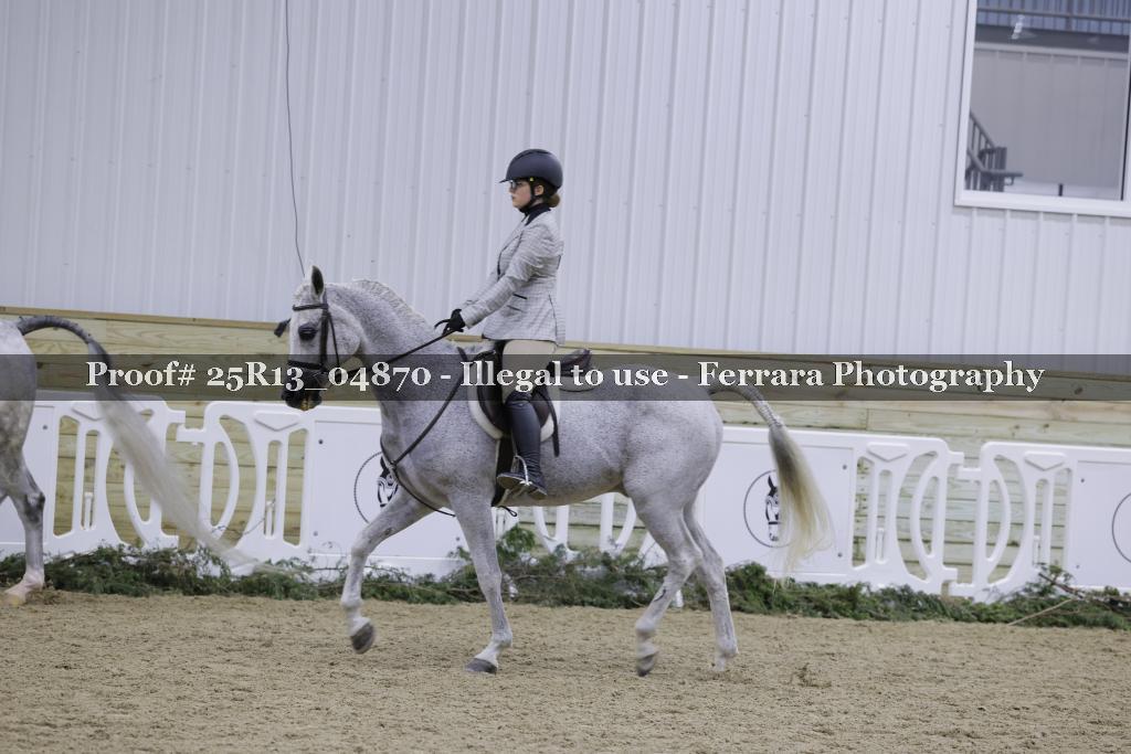 Proof 25R13_04870