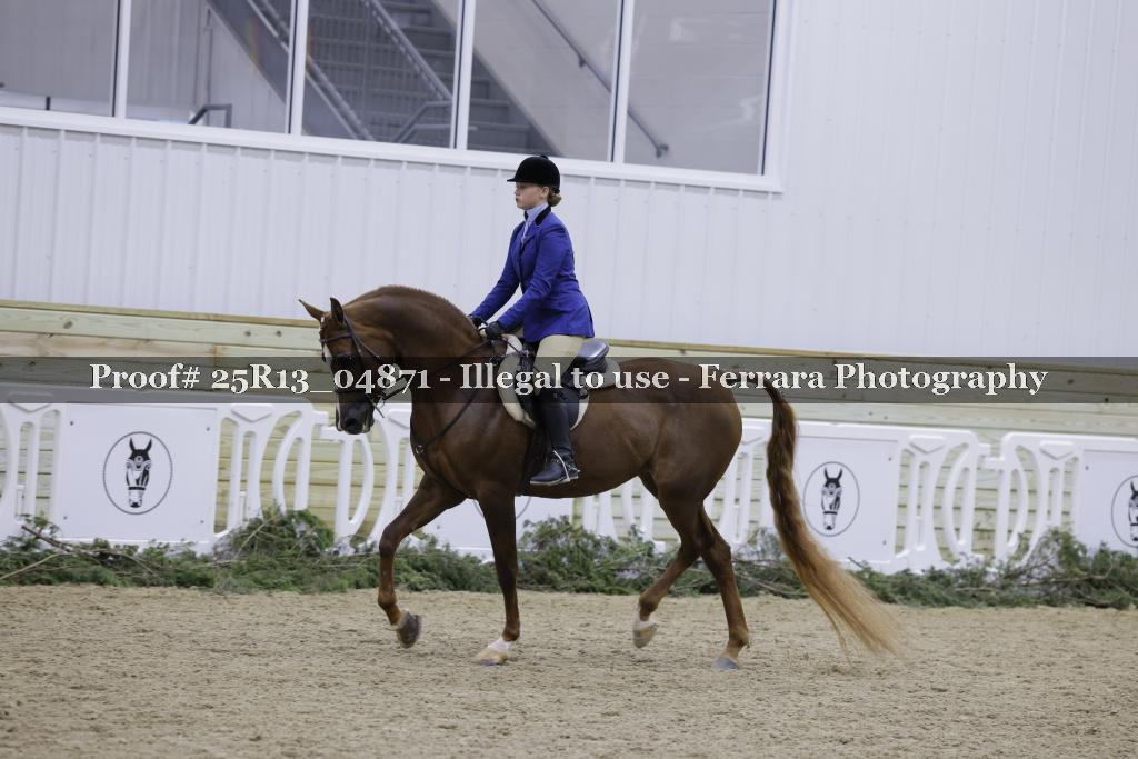 Proof 25R13_04871