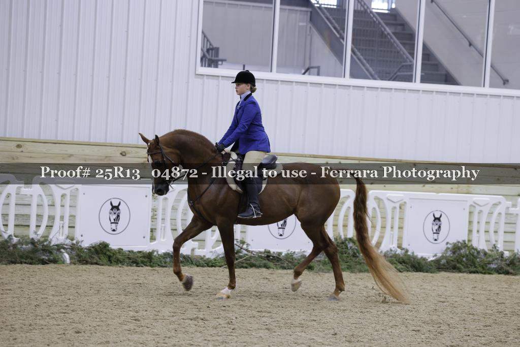 Proof 25R13_04872