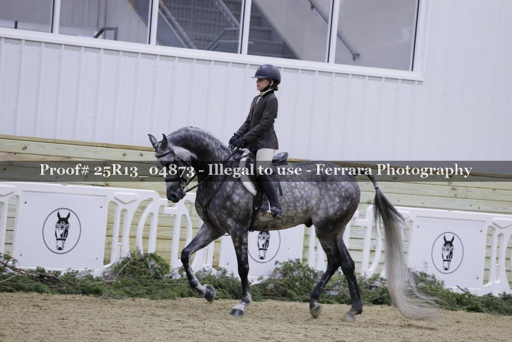 Proof 25R13_04873