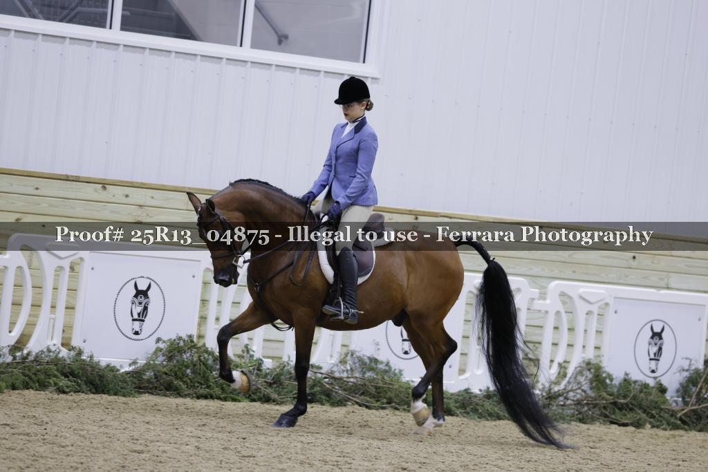 Proof 25R13_04875