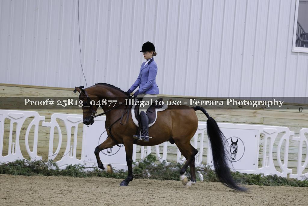 Proof 25R13_04877