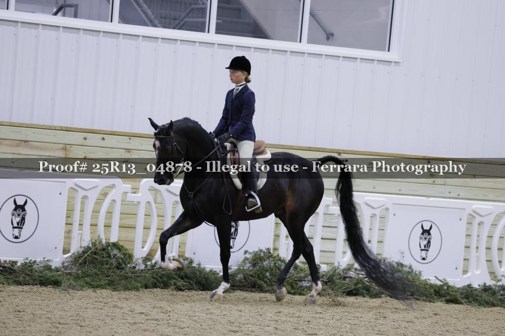 Proof 25R13_04878
