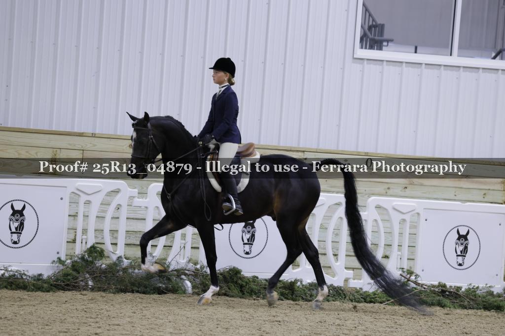 Proof 25R13_04879