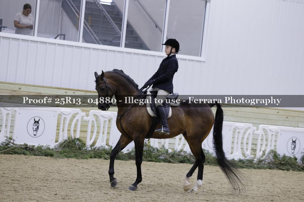 Proof 25R13_04880