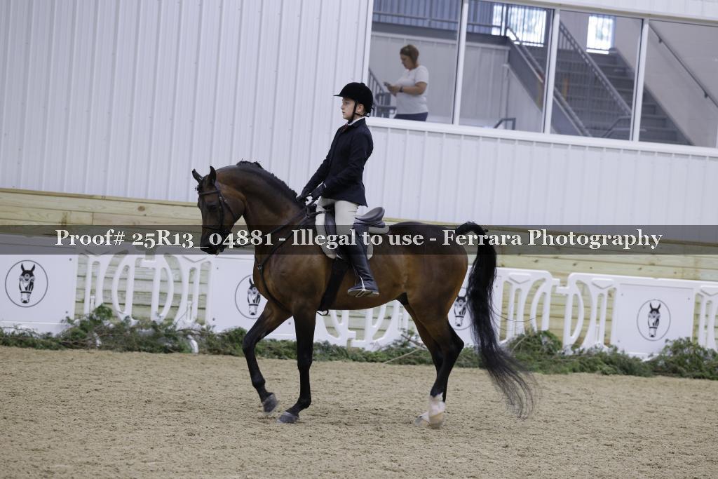 Proof 25R13_04881