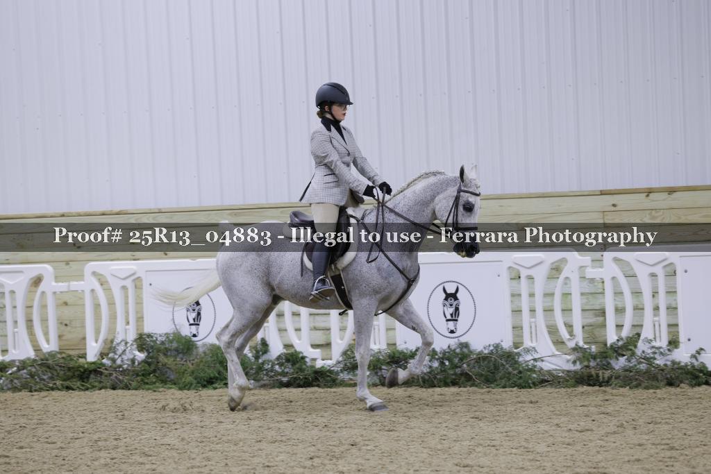 Proof 25R13_04883