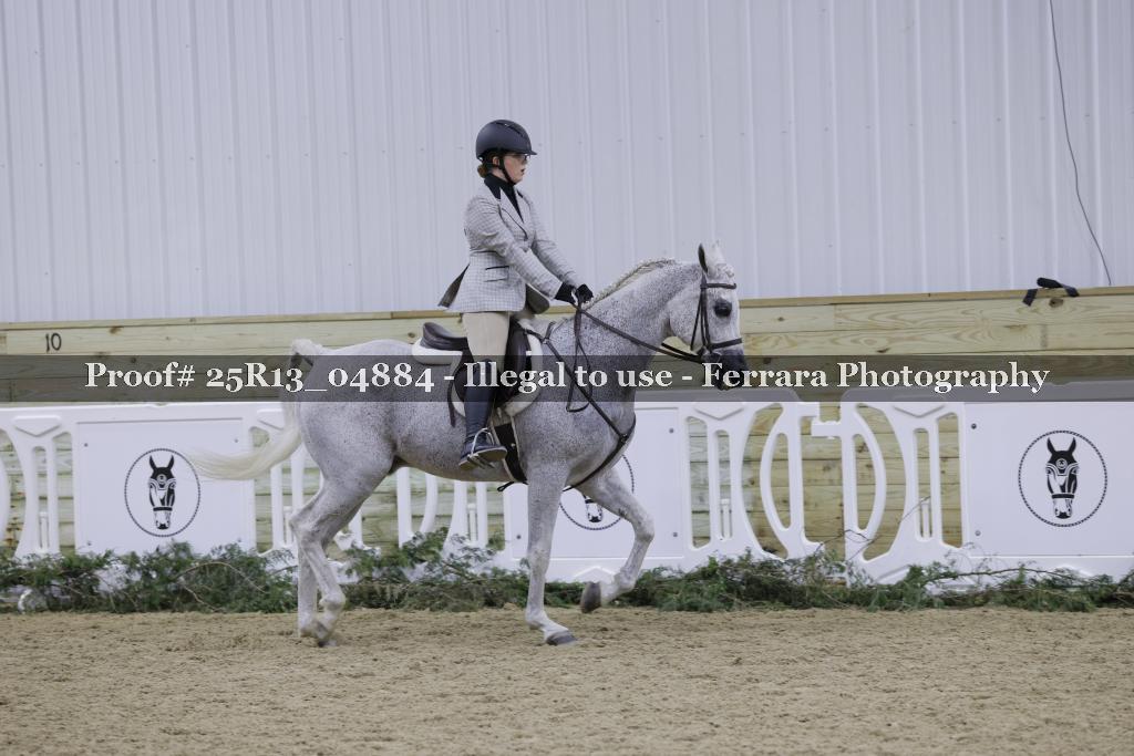 Proof 25R13_04884