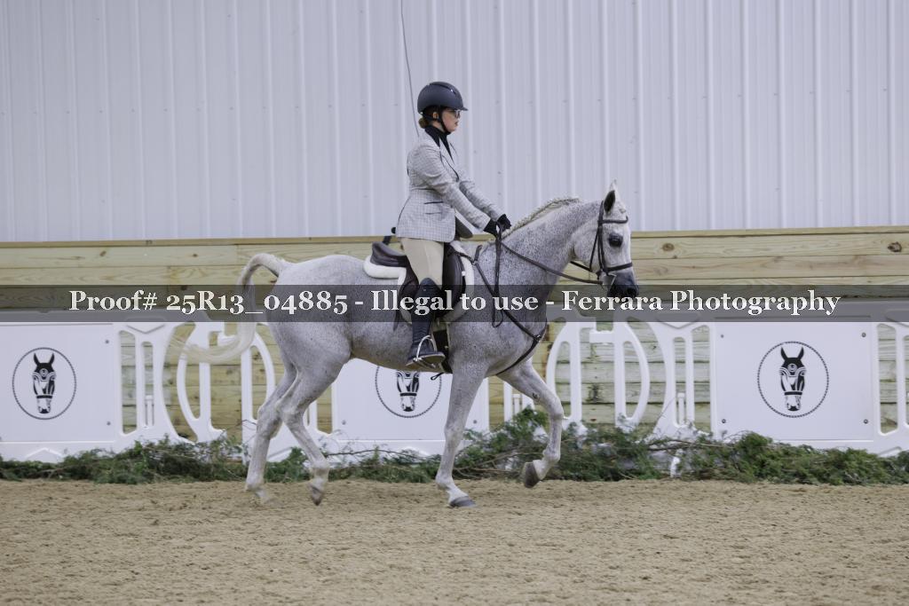 Proof 25R13_04885