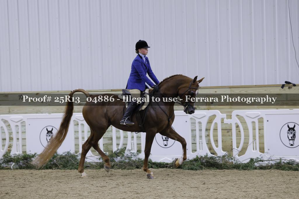 Proof 25R13_04886