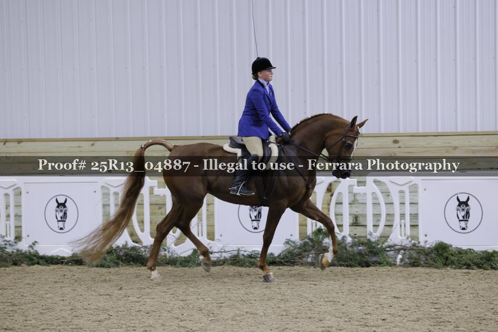 Proof 25R13_04887