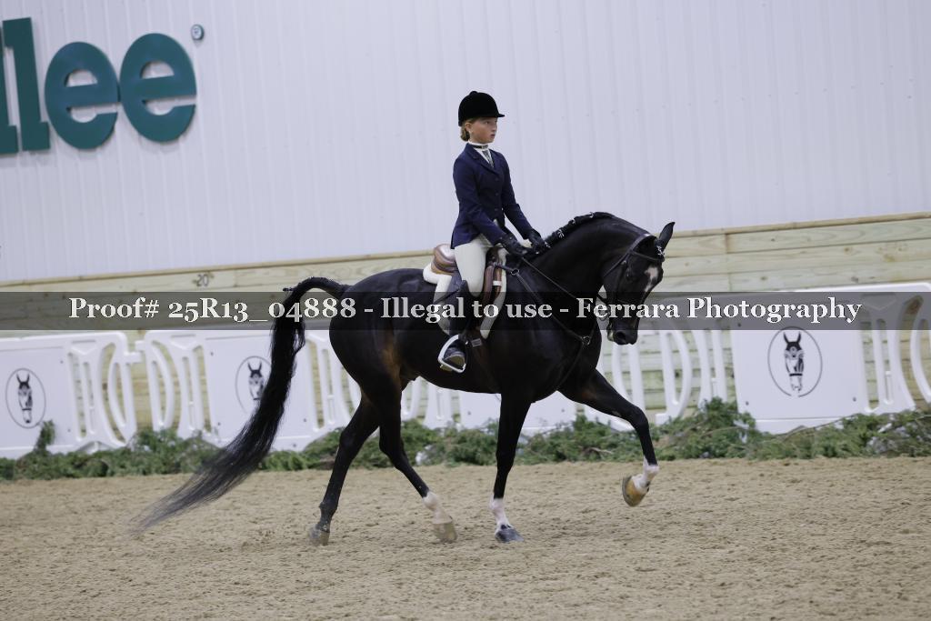 Proof 25R13_04888