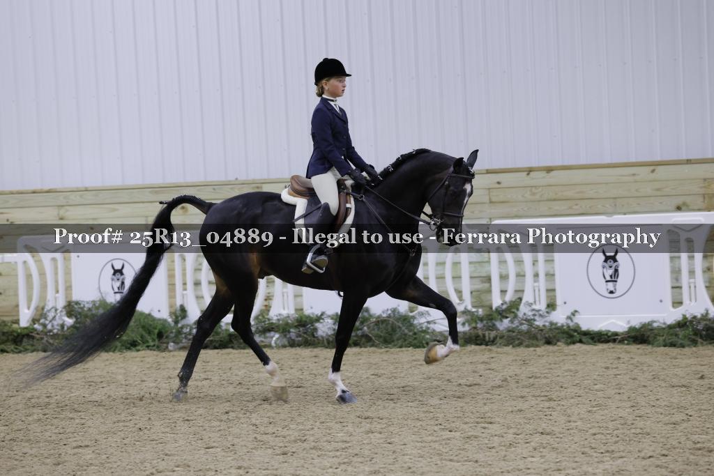 Proof 25R13_04889