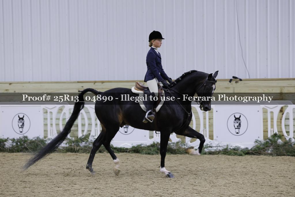 Proof 25R13_04890