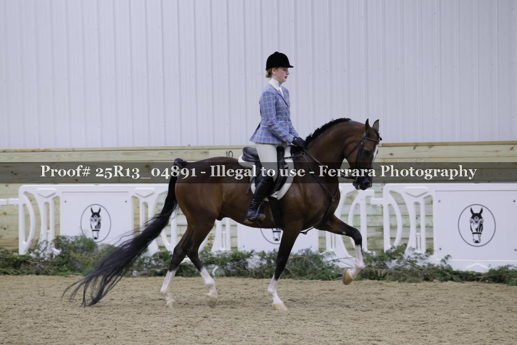 Proof 25R13_04891