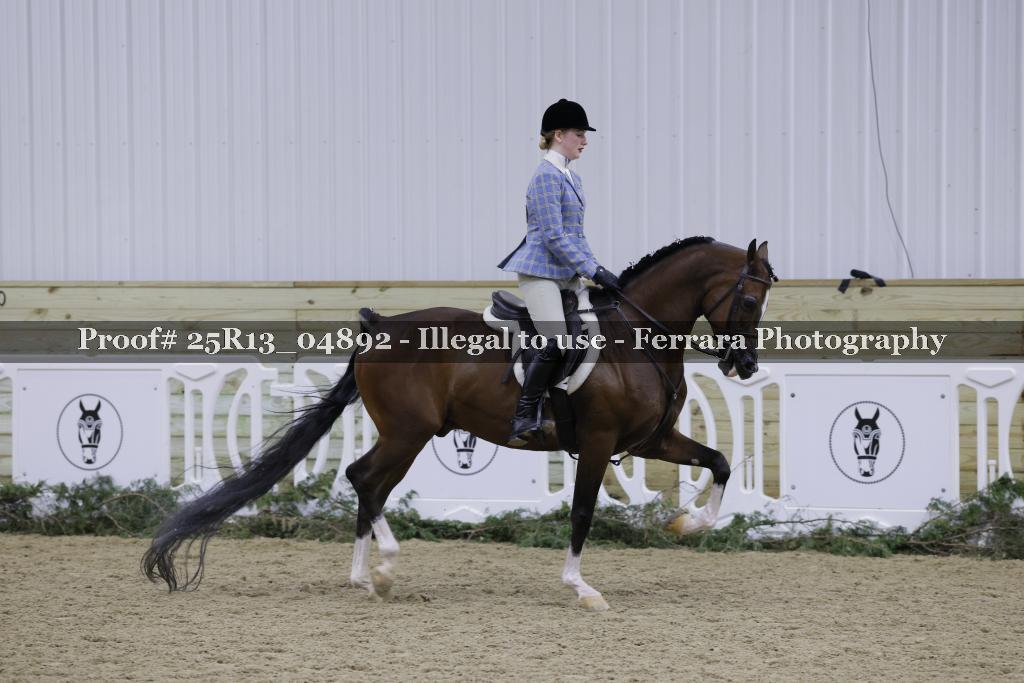 Proof 25R13_04892